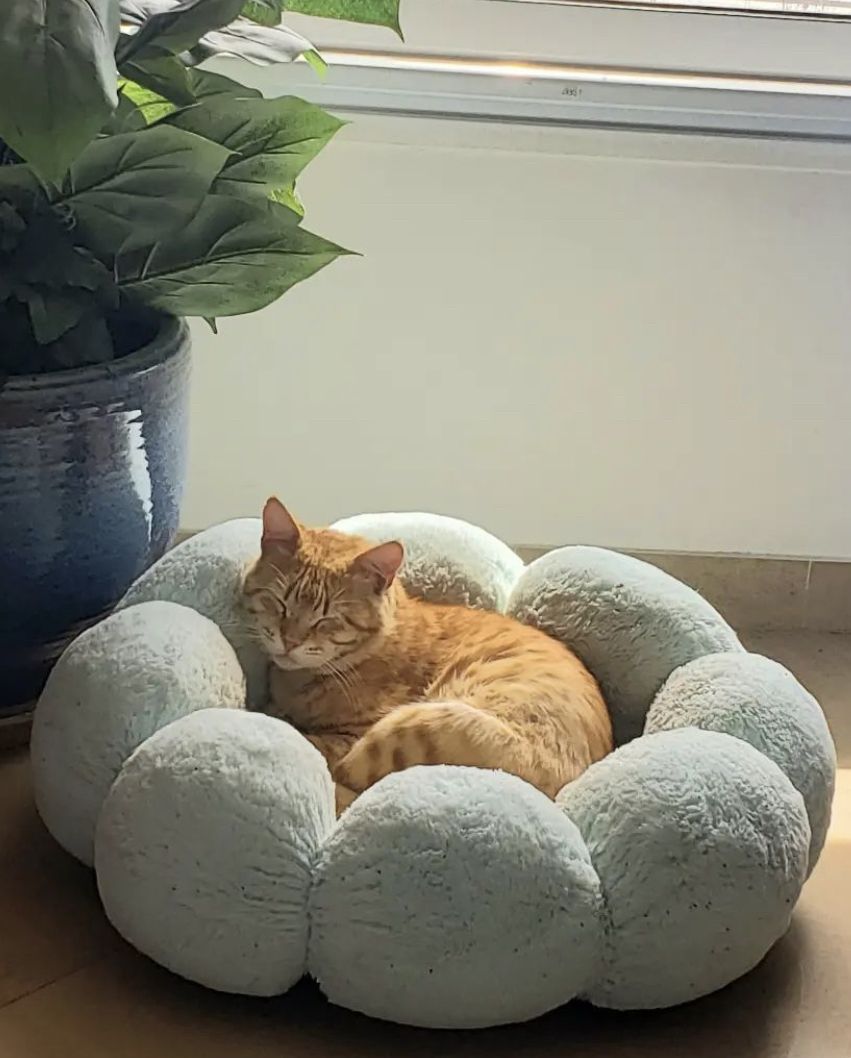 Comfortable pet rest beds