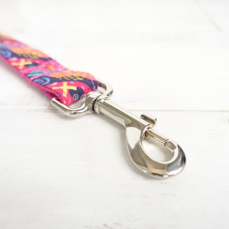 Pet supplies dog leash dog training running rope - Image 5