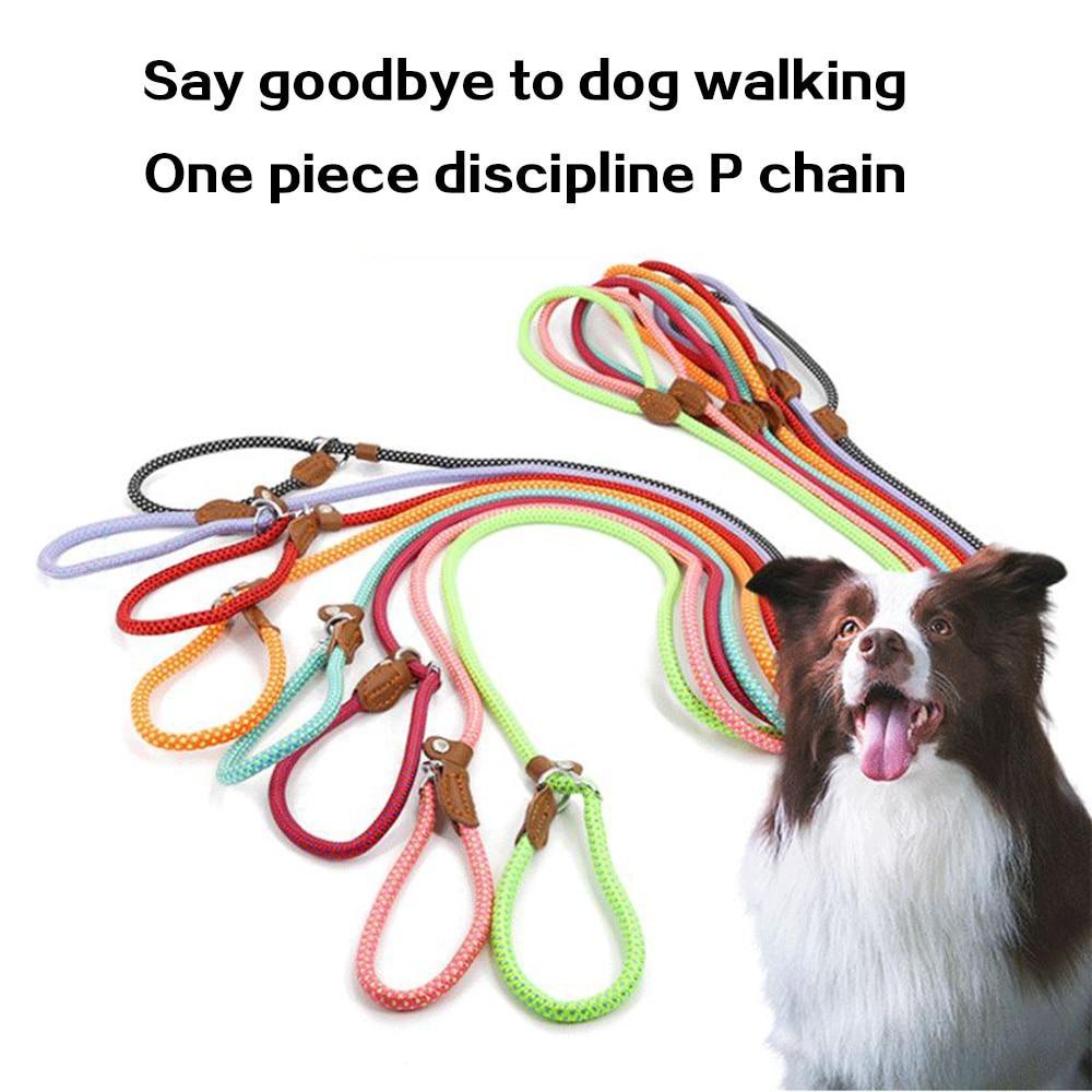 Strong and Sturdy Nylon Dog Collar, Lead, P Type - Image 2