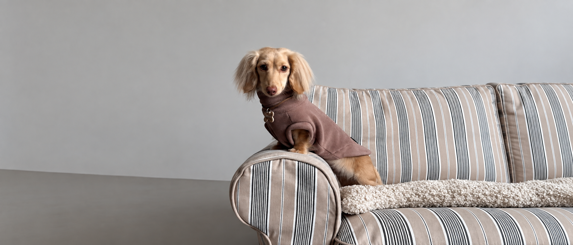 Pet essentials collection