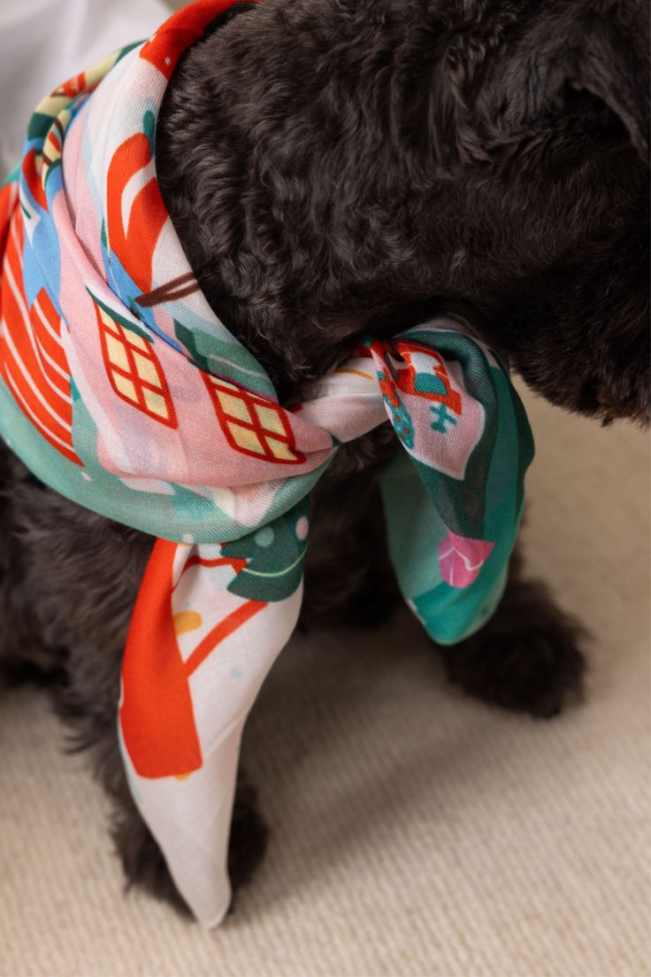 Pets enjoying everyday style