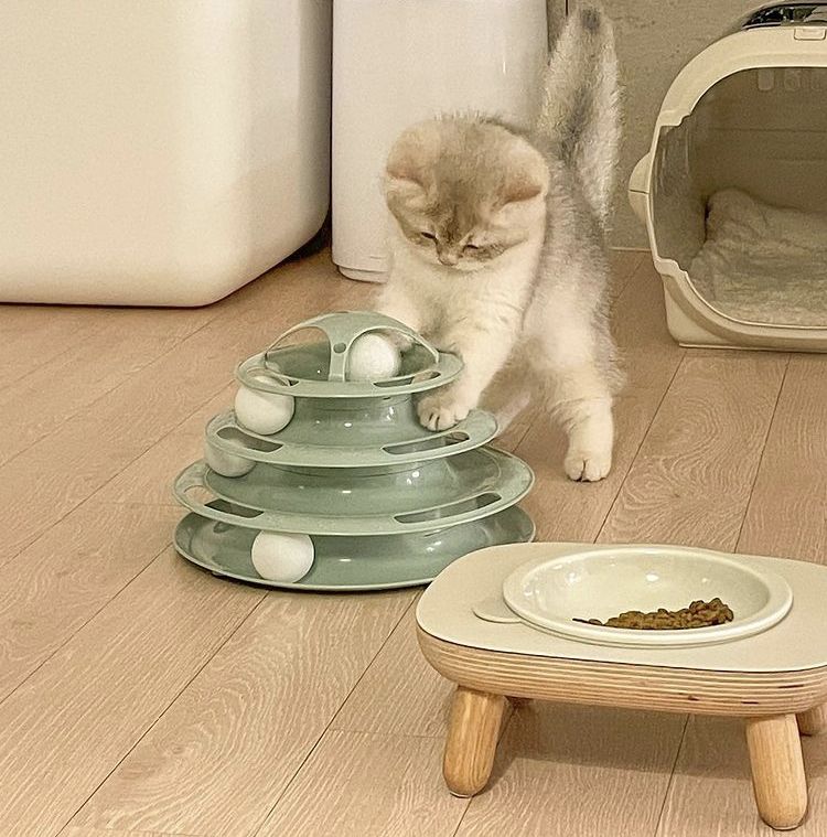 Feline play essentials