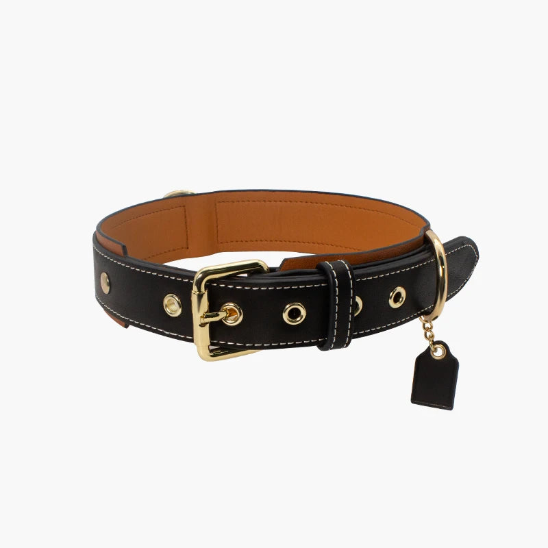 Leather Dog Collar with Decorative Charm