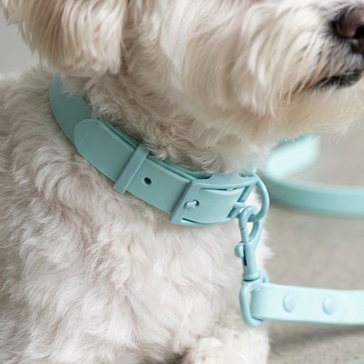 Pastel Shade PVC Dog Collar