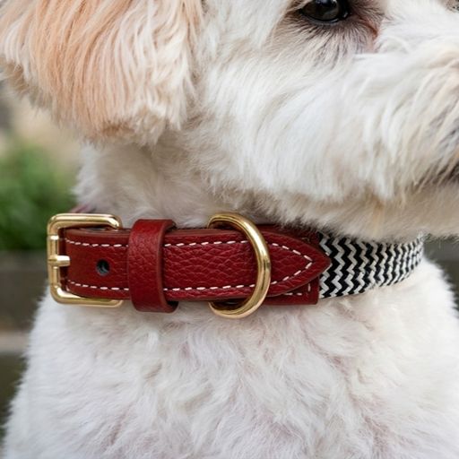 Soft Zigzag Leather Dog Collar