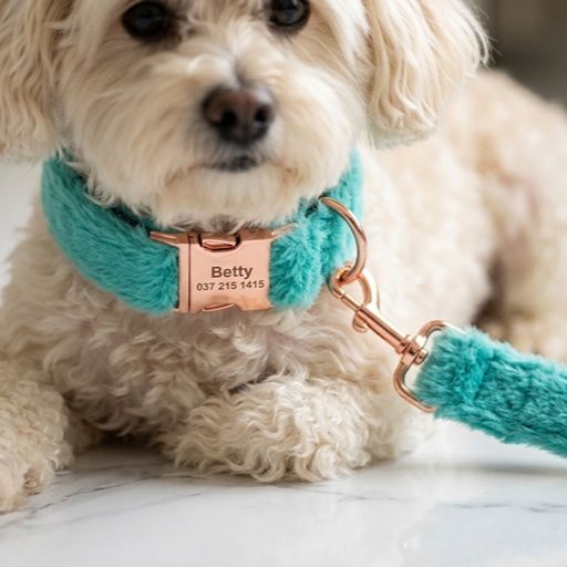 Warm Fur-Lined Nylon Leather Dog Collar