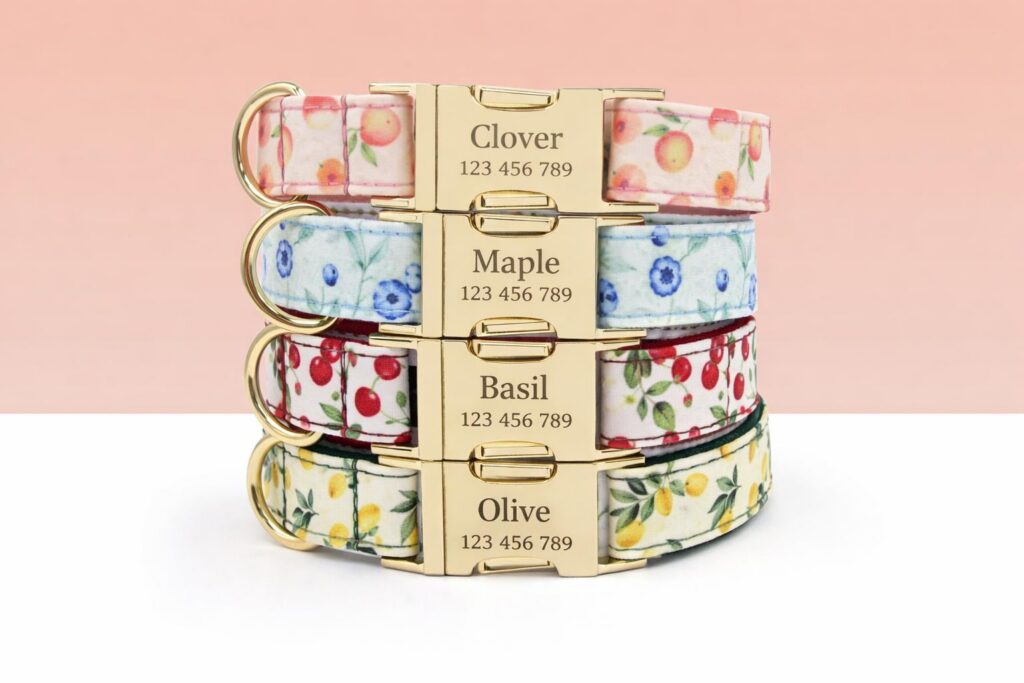 Fruit and Floral Print Adjustable Dog Collar, Sizes XS-XL