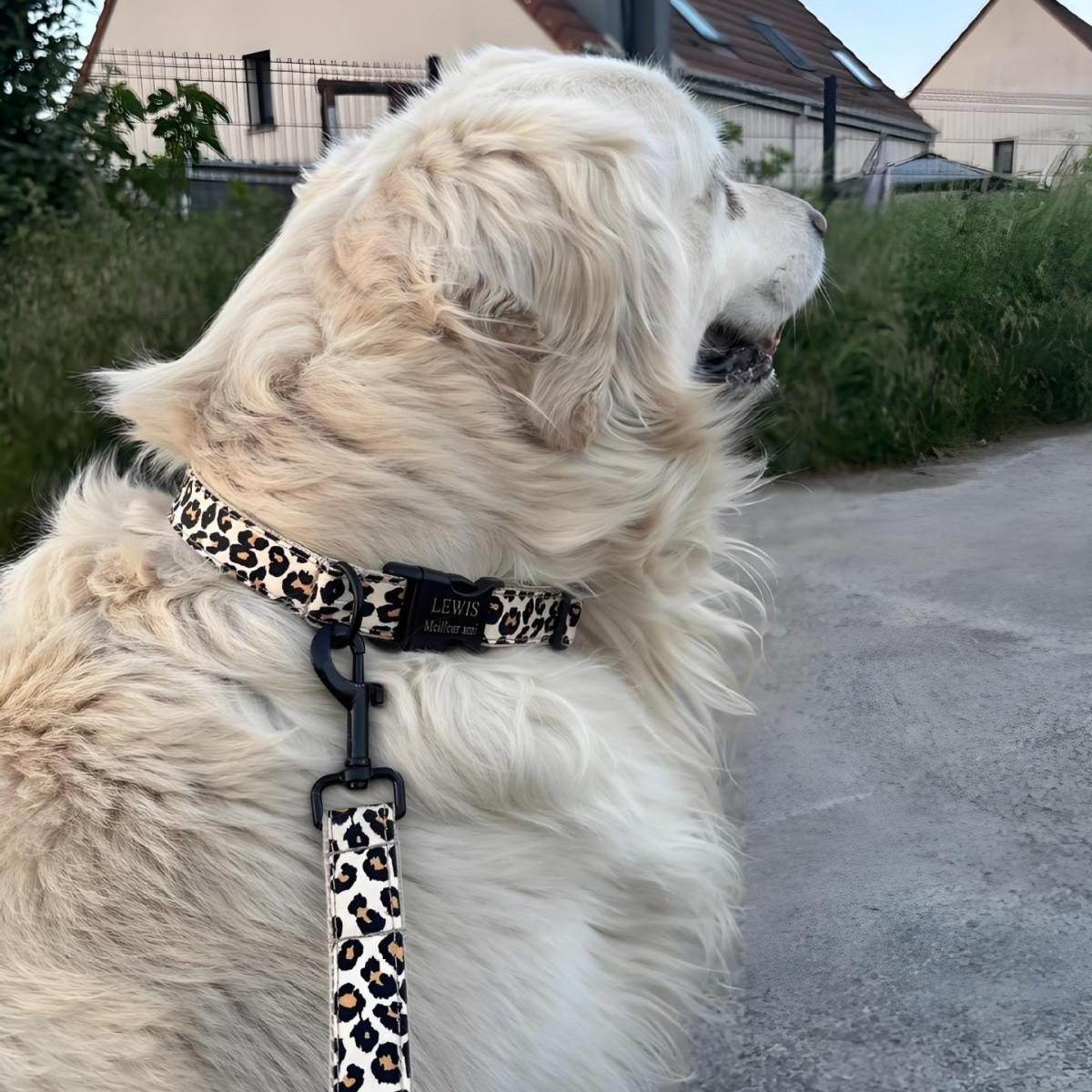 Animal Print Adjustable Dog Collar and Leash Set, Sizes XS-XL - Image 11