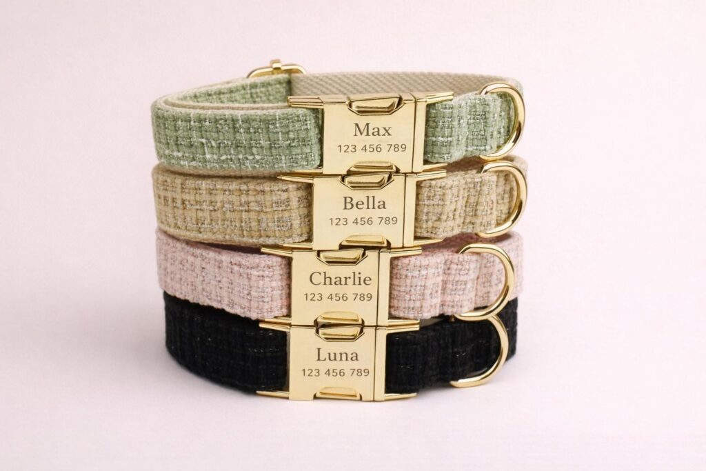 Boucle Adjustable Dog Collar, Sizes XS-XL
