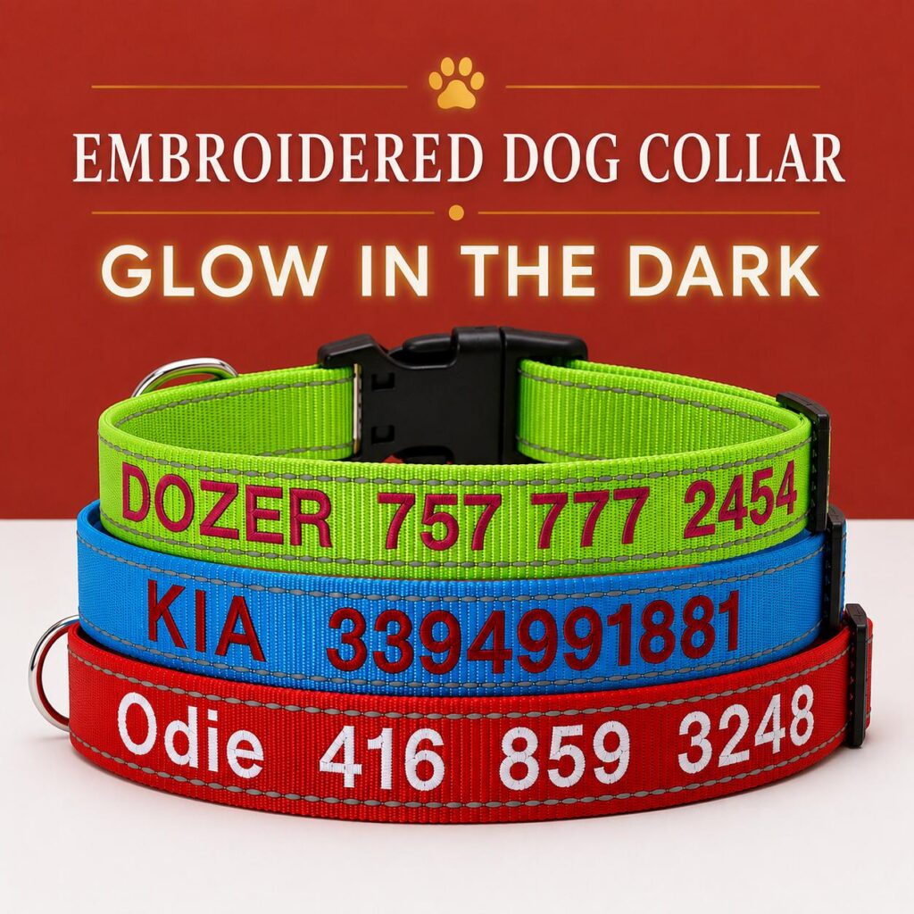 Reflective-Stitch Nylon Adjustable Dog Collar, Sizes XS-XL