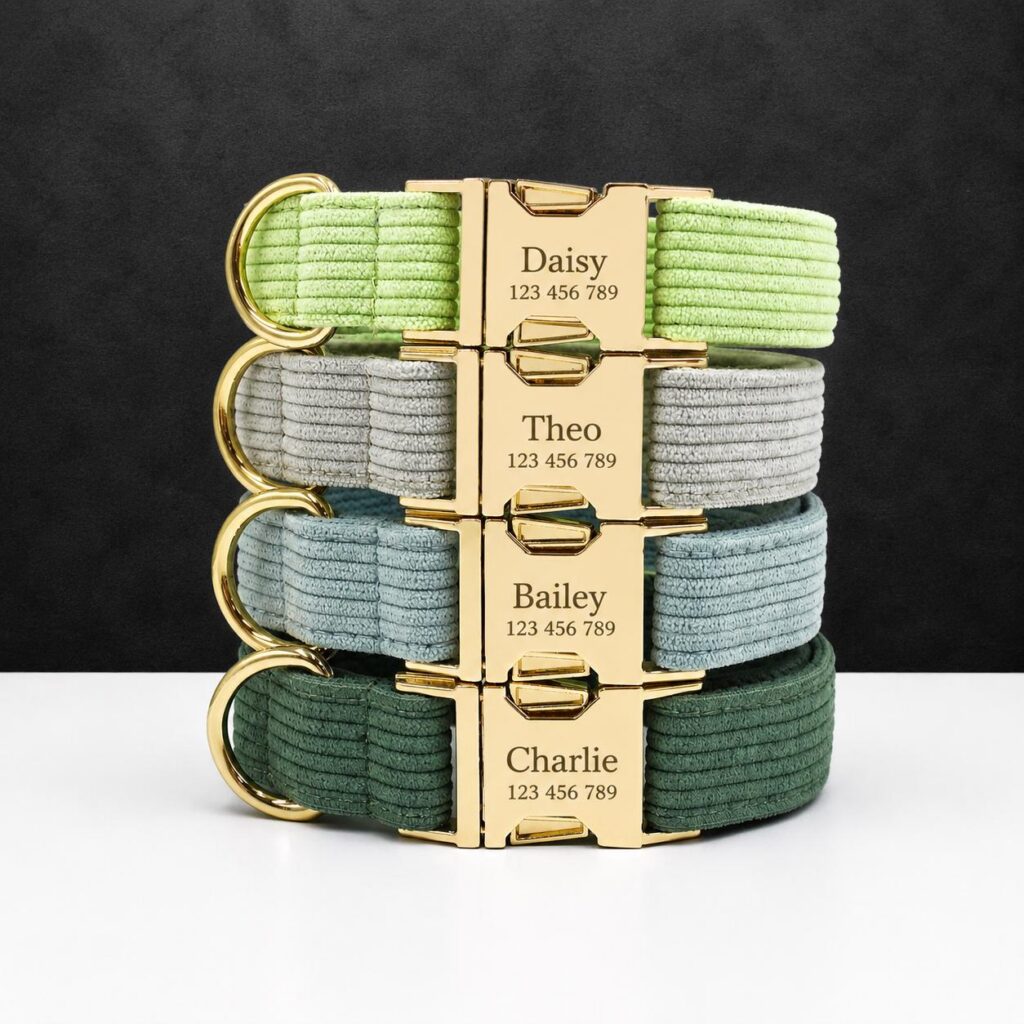 Corduroy Adjustable Dog Collar, Sizes XS-XL