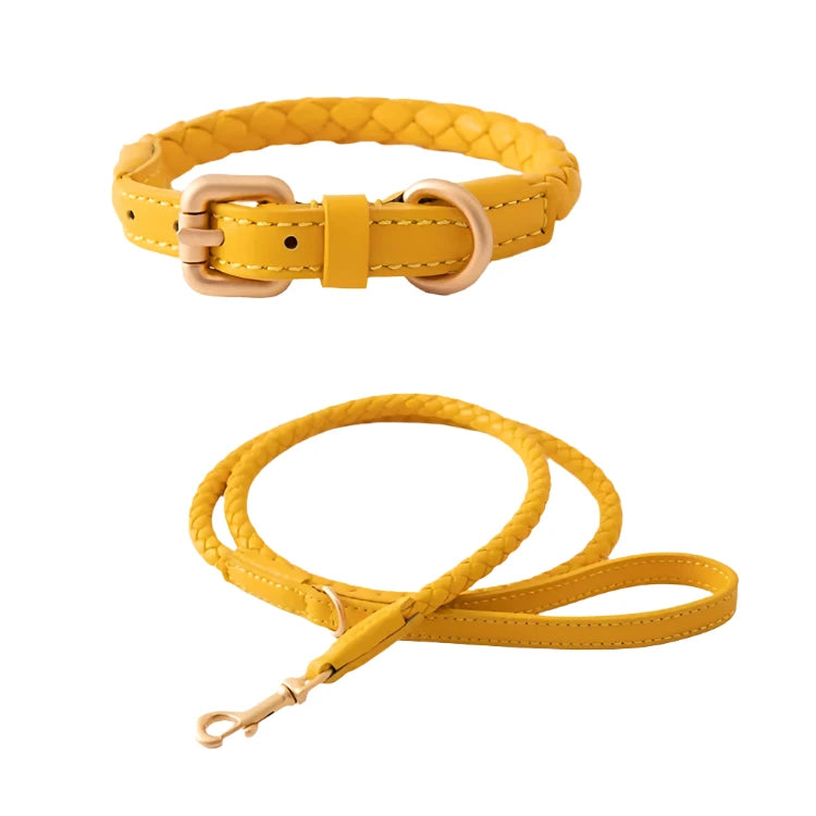 Dessert Leather Weave Dog Collar and Leash Set