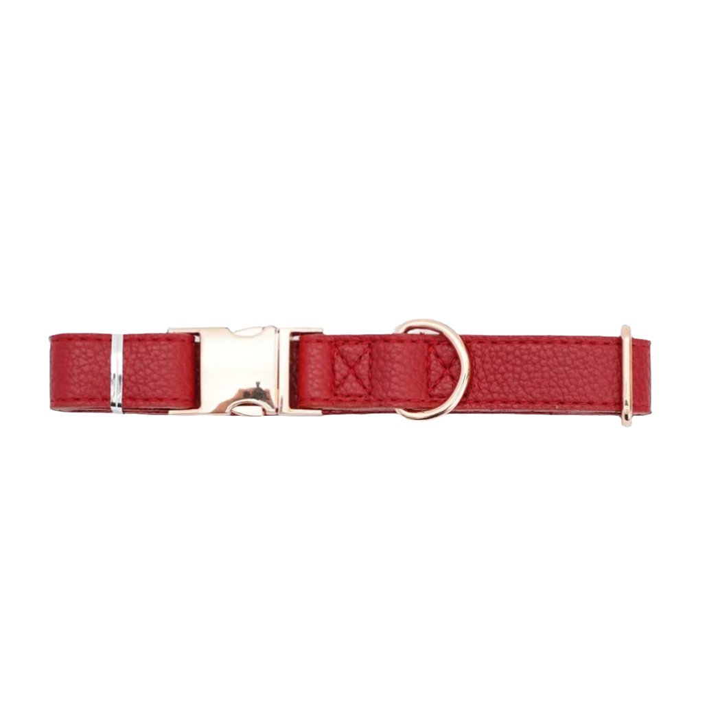 Adjustable Leather and Stainless Steel Dog Collar