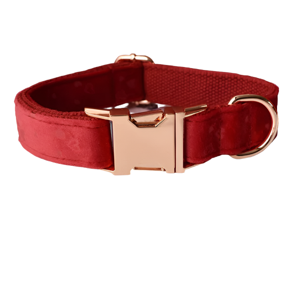 Ruby Red Heart Velvet Shaped Dog Collar