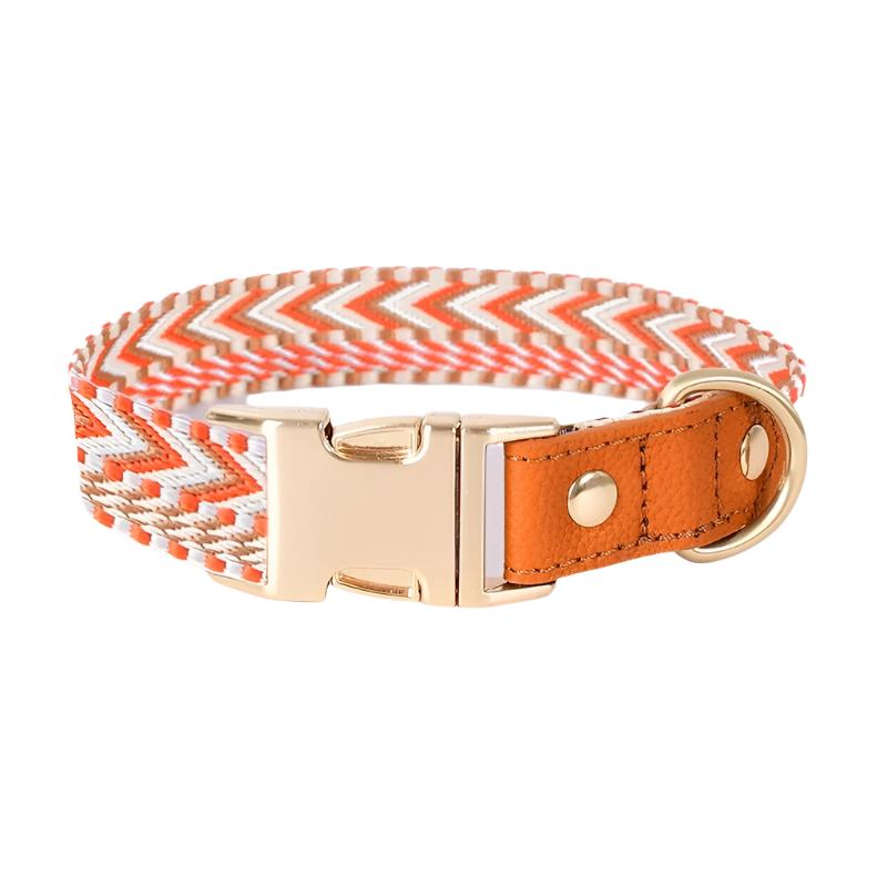 Classic Webbing Leather Dog Collar